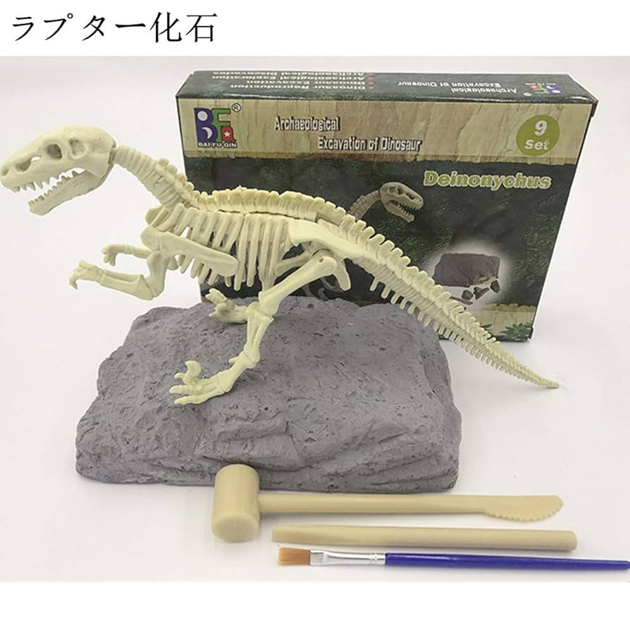 希少なケラトサウルスの化石、45億円で落札 - CNN.co.jp 希少