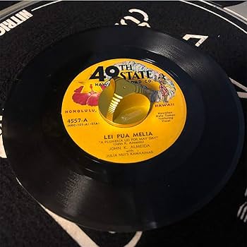 Amazon.co.jp: 45 RPM レコードアダプター インサート 特殊形状