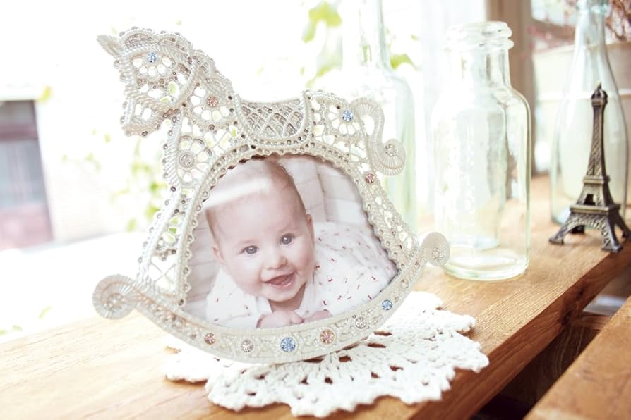 ふなっしー写真アートフレーム 【公式通販】