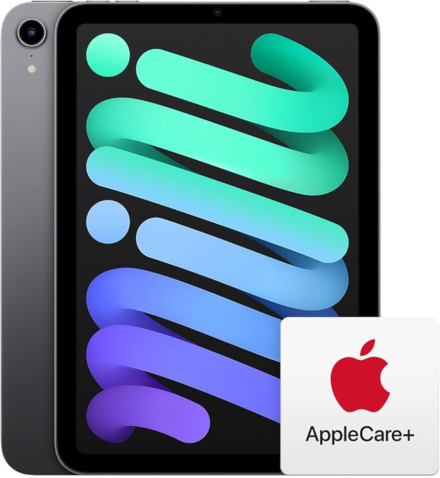 初期化済み】iPadmini6 256GB Wi-Fiモデル スペースグレイ iPad mini6