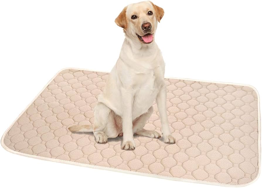 L ベージュ シート トイレ 洗える ペット 犬 猫 吸水 マット 2枚 L