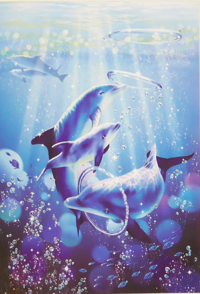 クリスチャンラッセン(ドルフィンシンフォニー(S)) クリスチャン