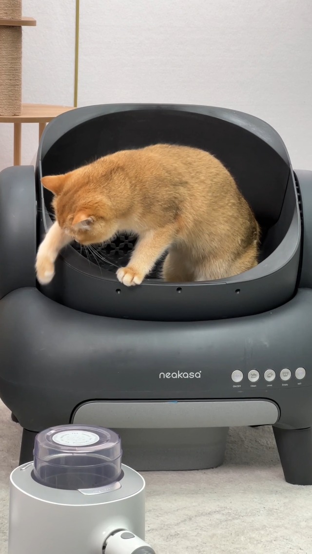 Amazon | Neakasa M1 猫 トイレ 全自動 自動清掃 多頭飼い対応 9つの
