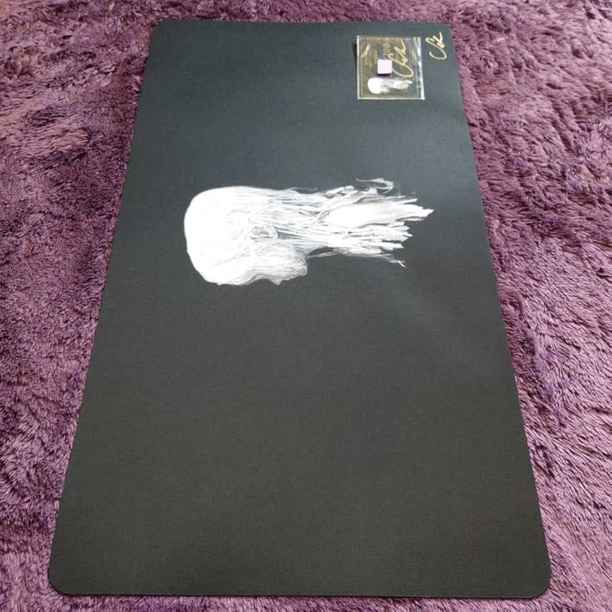 Amazon.co.jp: 込《SEELIE》Seb McKinnon サイン入り プレイマット証明