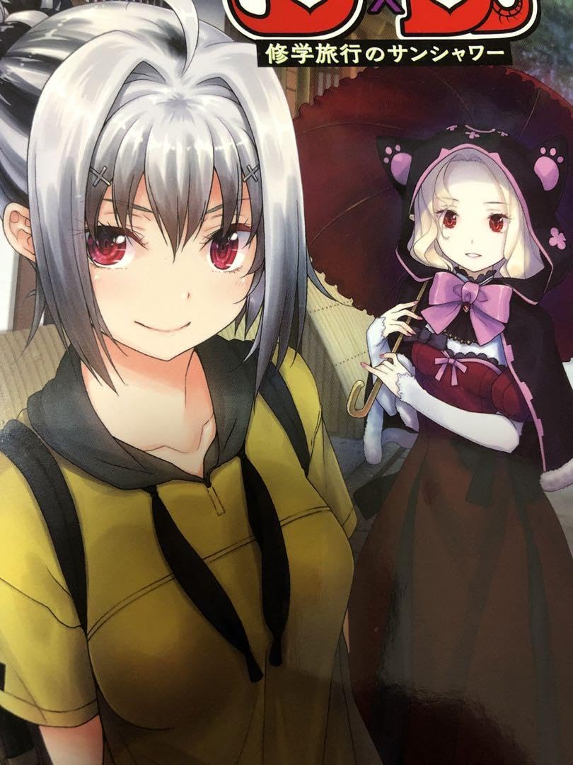 ハイスクールD×D アクマのおしごと ブックカバー NOT FOR SALE 【公式