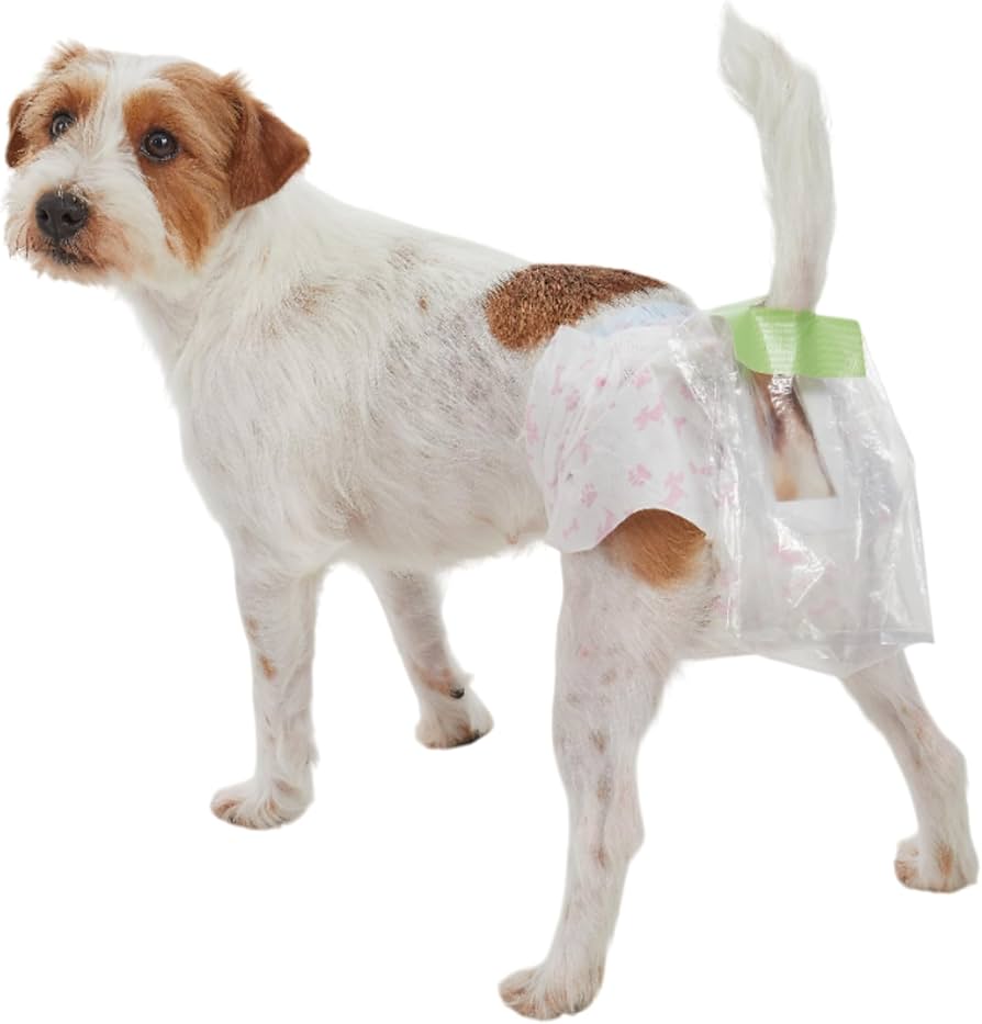 Amazon.co.jp: うんぽパンツ LL・28枚 犬 オムツ うんちポケット付き