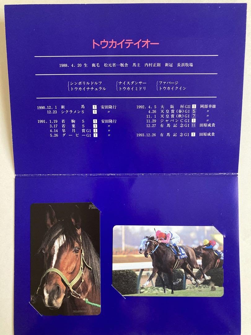 トウカイテイオー 天皇賞秋 現地馬券 2025年最新】Yahoo!オークション