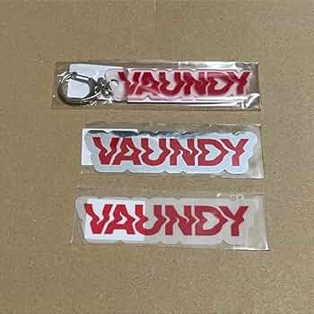 vaundy 直筆サイン入りドームステッカー vaundy 直筆サイン入りドーム
