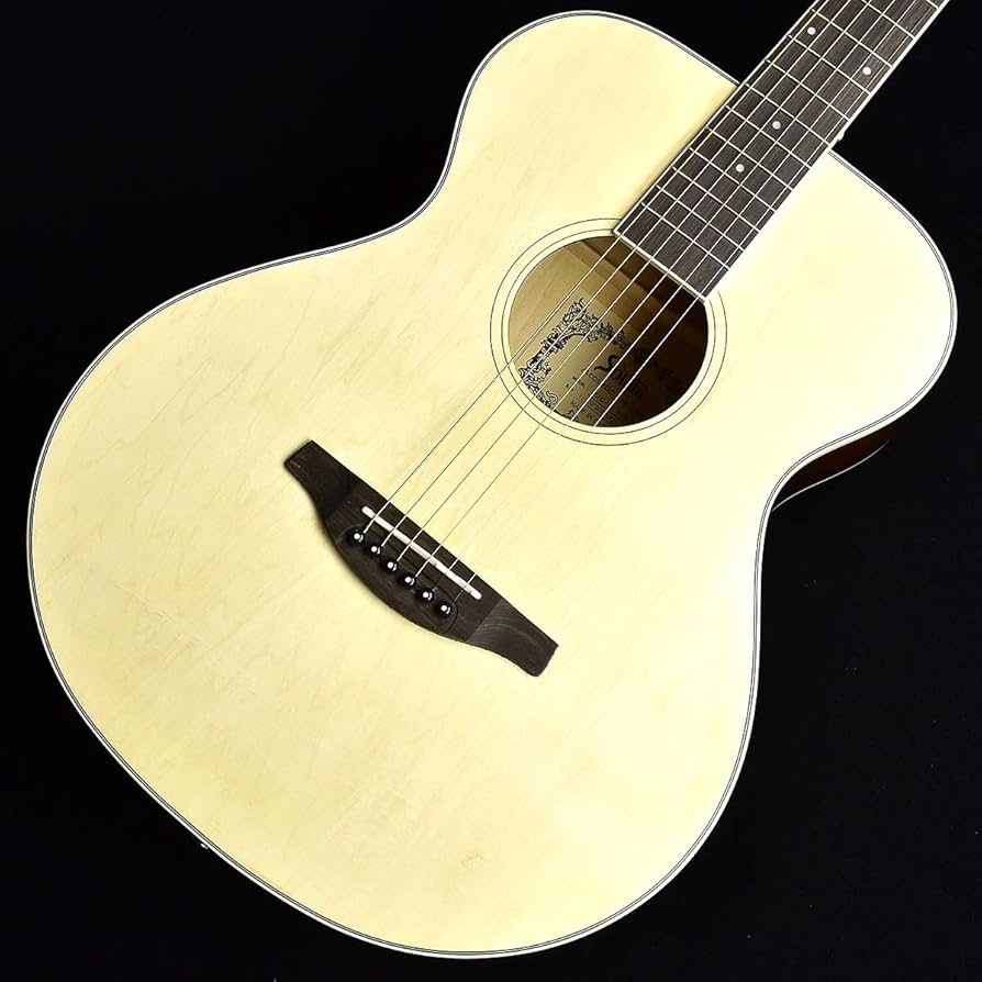 Amazon | Soldin SFG-15 ツヤ消しナチュラル アコースティックギター
