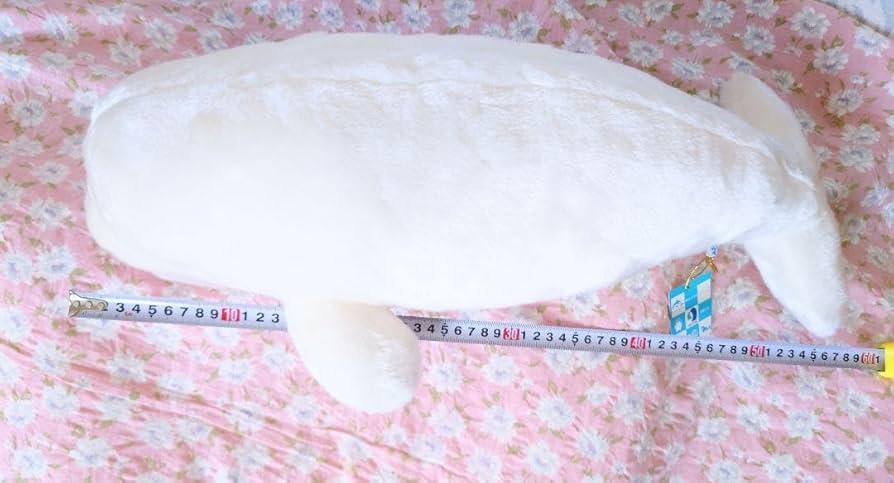 Amazon.co.jp: ベルーガ シロイルカ ぬいぐるみ 名古屋港水族館 : おもちゃ