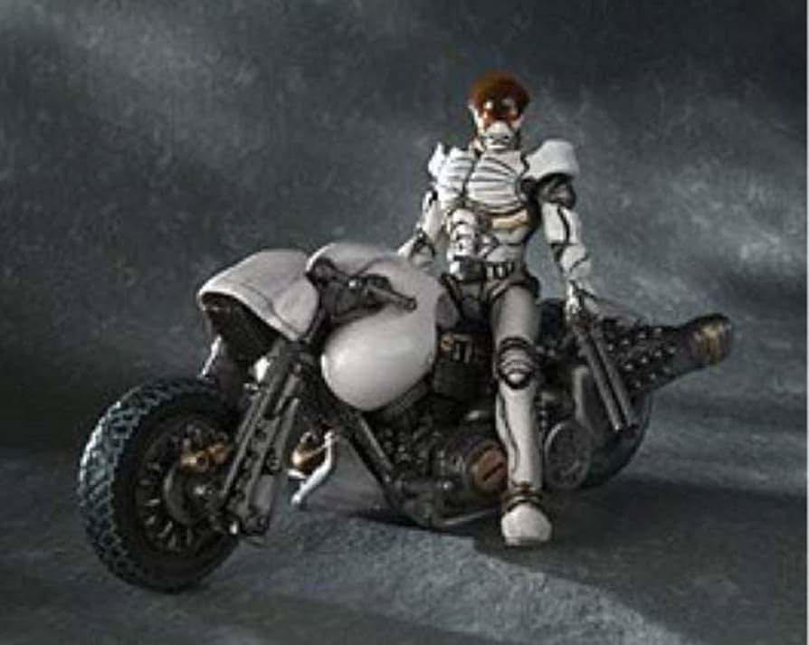 Amazon.co.jp: S.I.C.匠魂 VOL.5 ハカイダー＆白いカラスセット