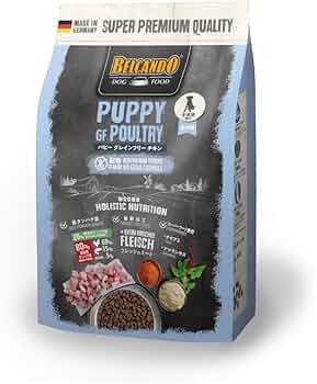 61G9JOZVQmL._AC_UF350,