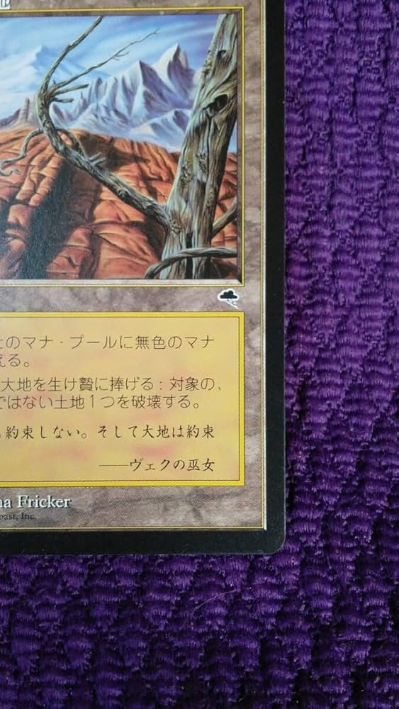 MTG 初版 テンペスト 不毛の大地 日本語 4枚セット MTG TMP 不毛の大地