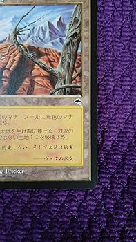 不毛の大地 日本語 TMP 4枚セット MTG 不毛の大地 Wasteland 日本語4枚