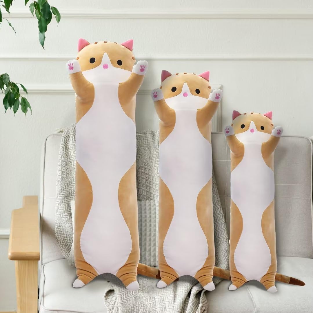 生後6ヶ月♡エキゾチックロングヘア♡子猫ちゃん♡アートドール