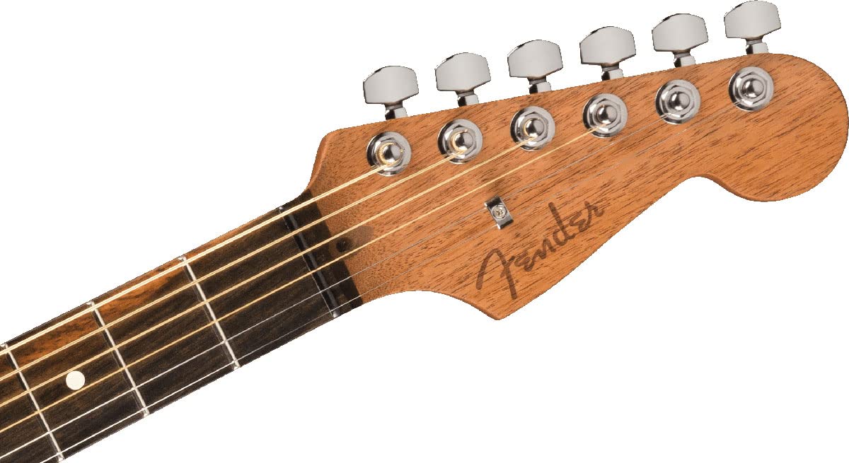 Amazon | Fender/Limited Edition American Acoustasonic JAZZMASTER