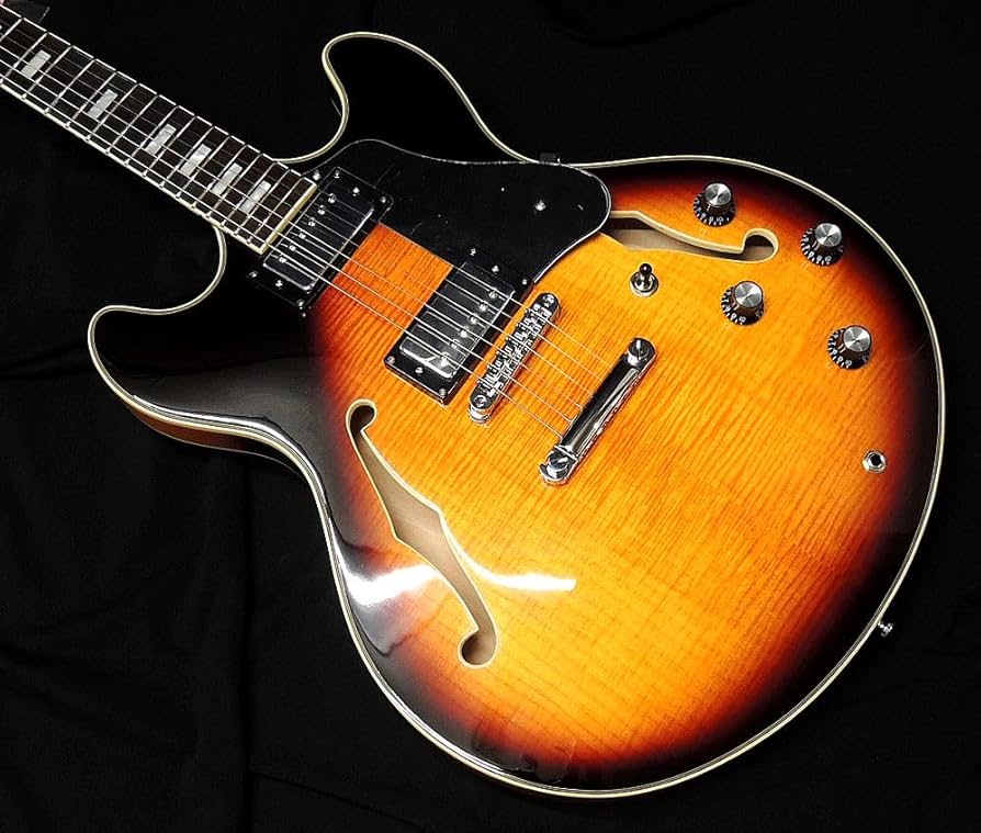 Amazon | Sire Larry Carlton H7 VS サイアー ラリーカールトン