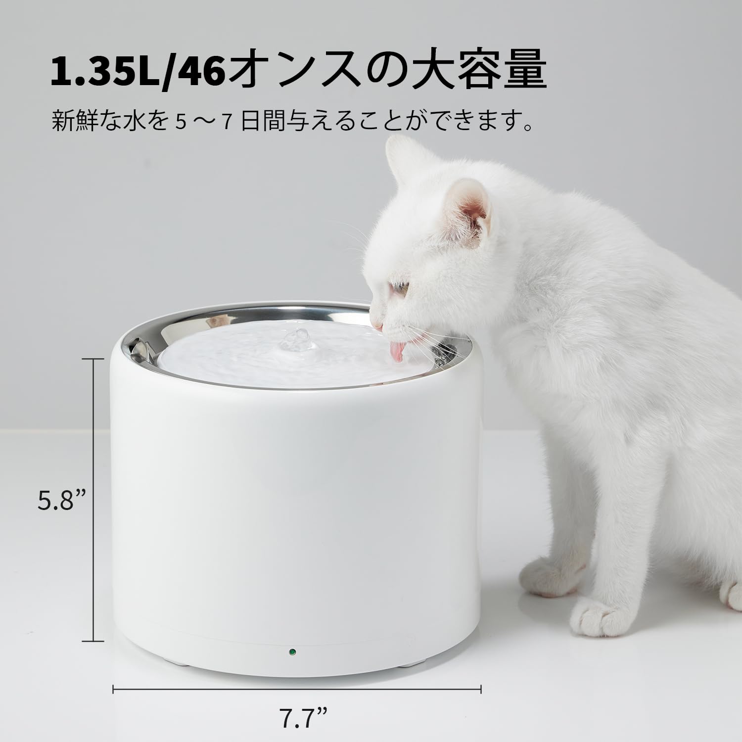 ☆ペット用 みずのみ器 自動給水器 循環式 自動パワーオフ 【公式通販】