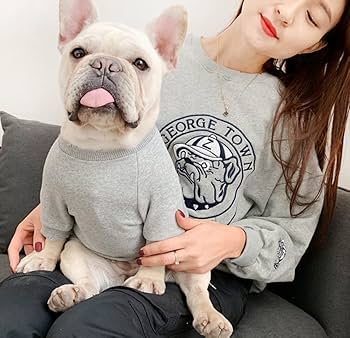 Amazon | 春秋 長袖 ペット用品 多サイズ イエロー ピンク グレー