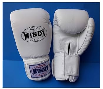中古 WINDY ボクシンググローブ 14 oz. BGVH ホワイト 中古 WINDY