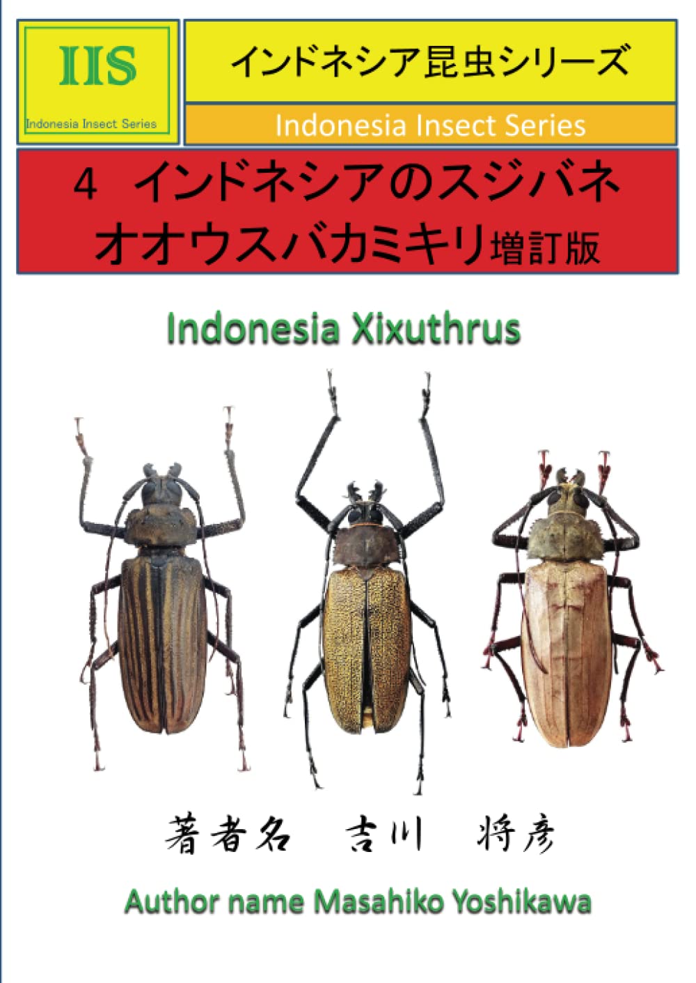 まとめ 【125mm♂】ハイエシオオウスバカミキリ オオウスバカミキリ