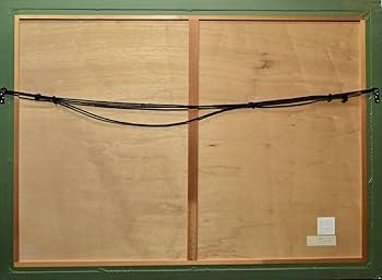 Amazon.co.jp: (4-8022)長岡秀星『アイルトンセナ 栄への軌跡』29290