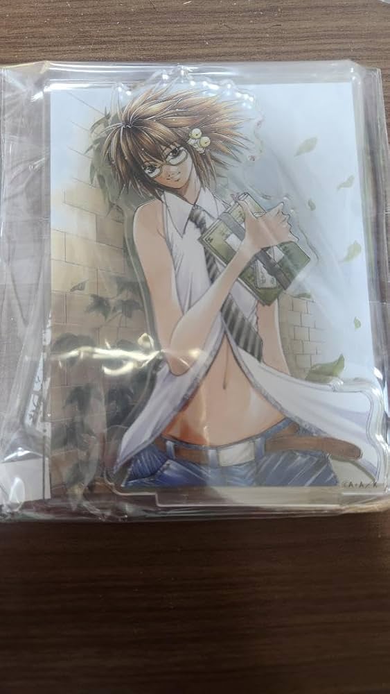 Amazon.co.jp: GetBackers 奪還屋 くじ 推しチャレ アクリル B賞 風鳥