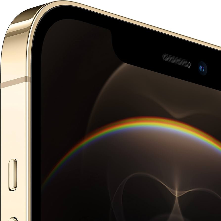 Apple iPhone 12 Pro Max 256Gb Gold (MGD13J/A) : Amazon.com.au
