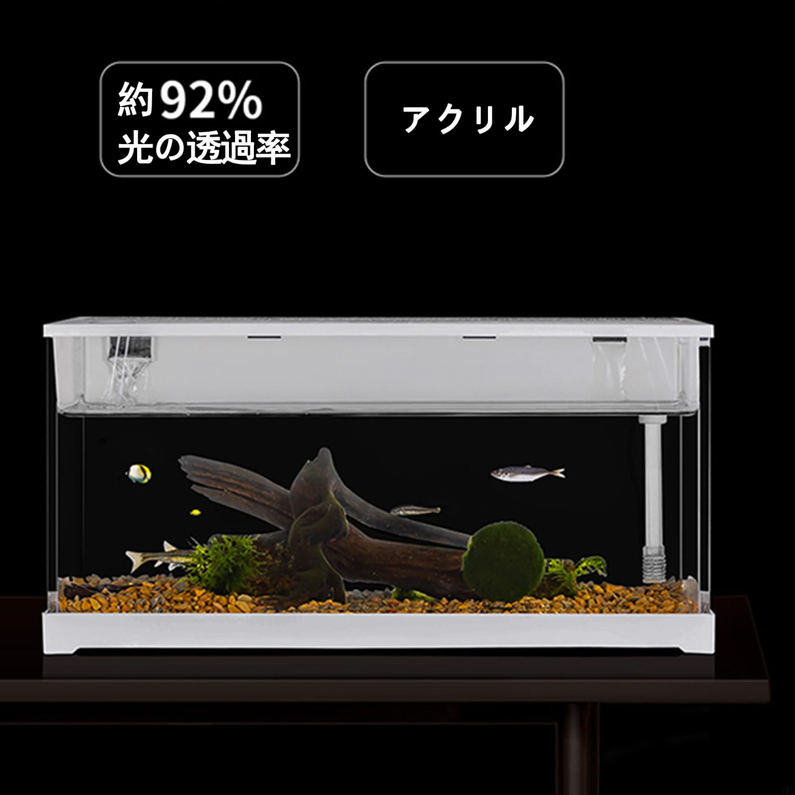 水槽 専用品 120×50x60 厚み12mm Amazon | らんちゅう水槽 600 (599