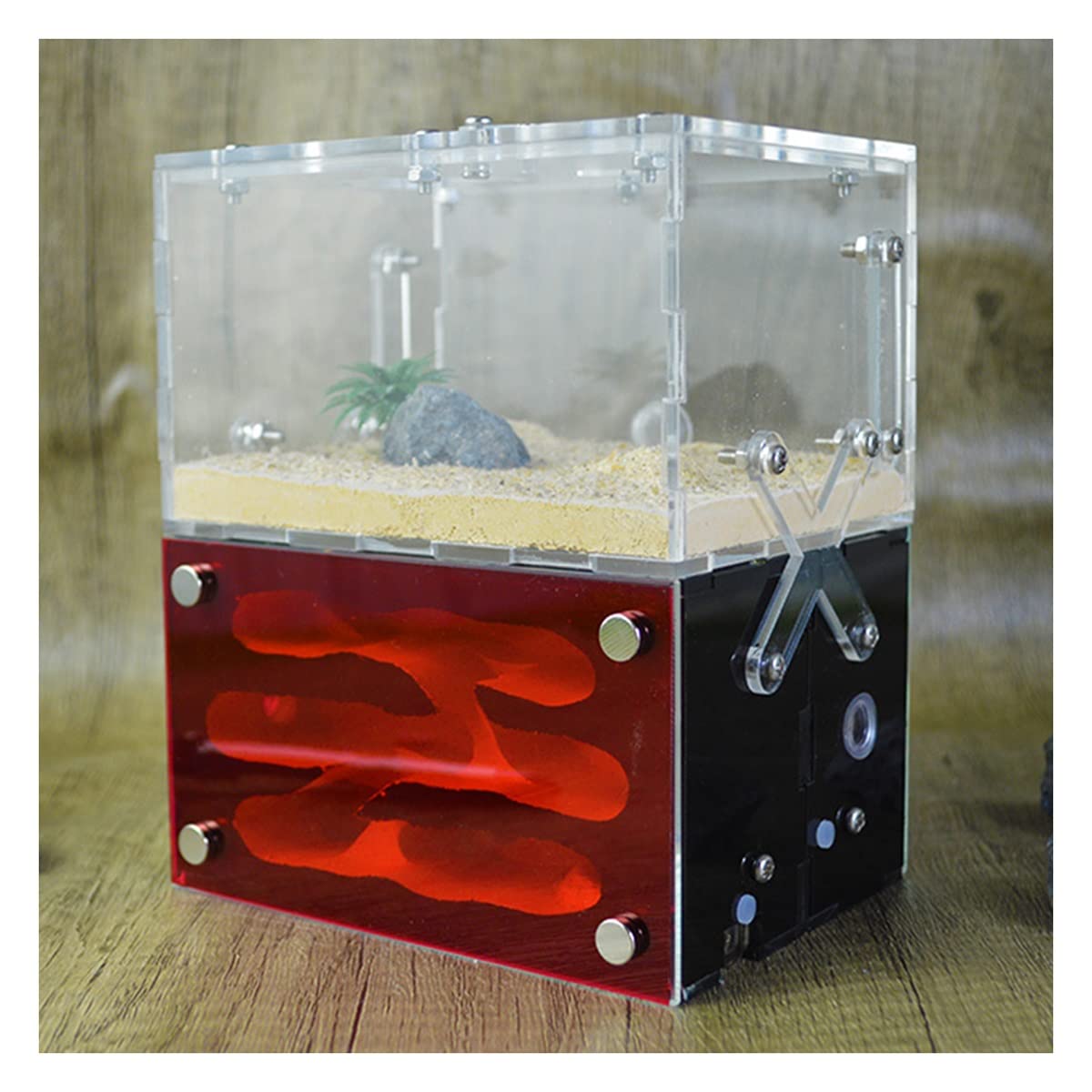 Amazon.co.jp: アリの巣 アクリル製 アリの巣 蟻 飼育ケース アリ飼育