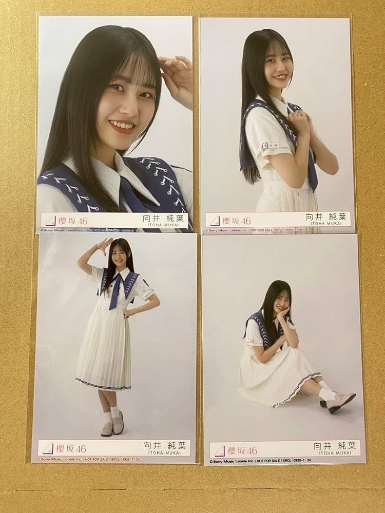 櫻坂46 向井純葉 自業自得 ライブ会場撮りおろし プレミアム生写真 櫻