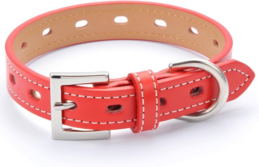 Amazon | 犬 首輪 おしゃれ かわいい ブランド 中型犬 小型犬 超小型犬