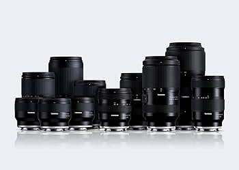 Amazon.co.jp: タムロン 17-50mm F/4 Di III VXD ソニーE用 (Model