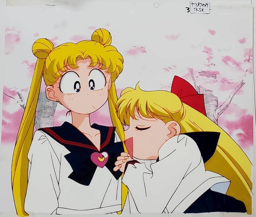 セーラームーン セル画 2枚組 美品 セーラームーン セル画 2枚組 美品