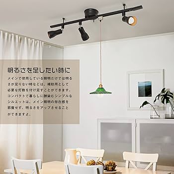 Amazon.co.jp : 共同照明 ダクトレール用スポットライト E26 レール