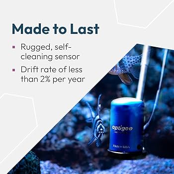 61JPqwpLjWL._AC_UF350,