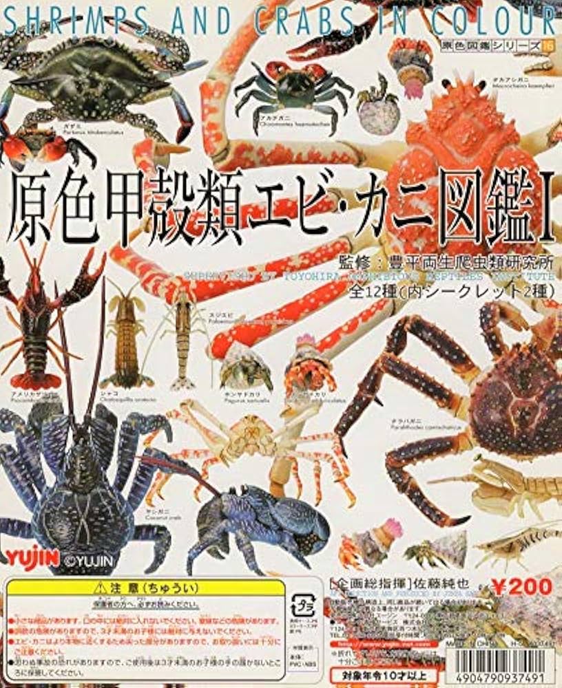 カニ 化石 博物館 地学 標本 甲殻類 勉強資料 カニ 化石 博物館 地学