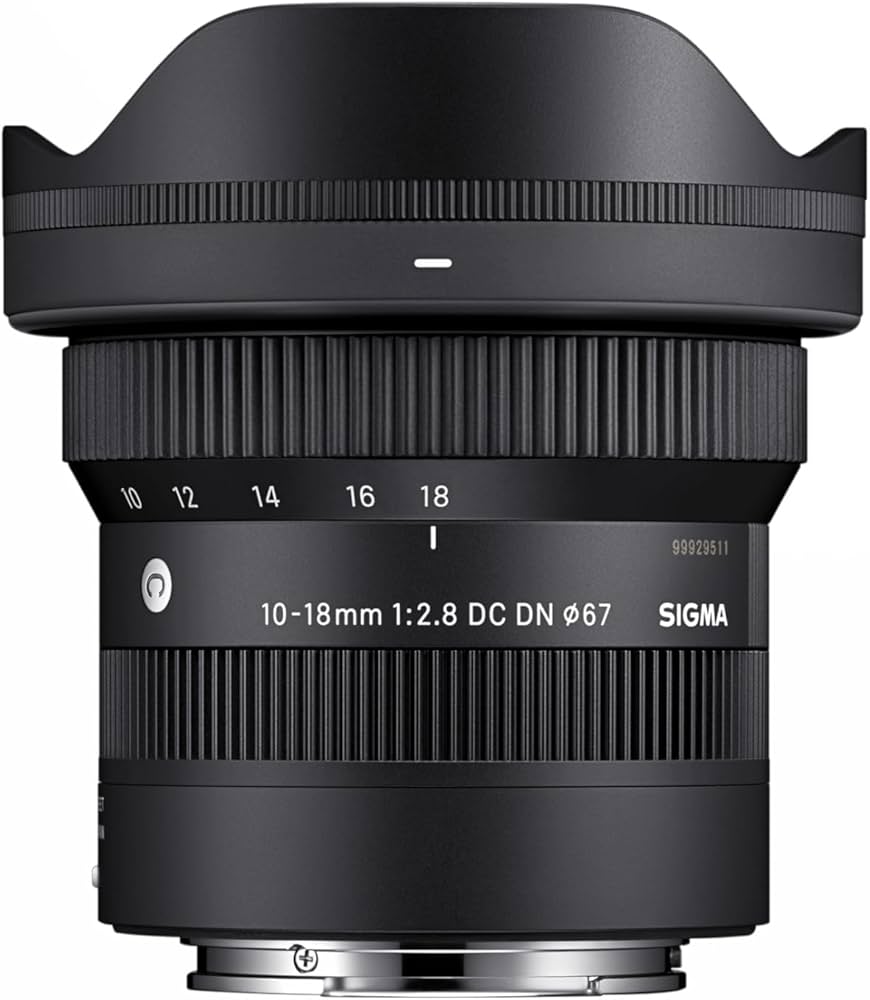 Amazon.com : 10-18mm F2.8 DC DN (for E Mount) : Electronics