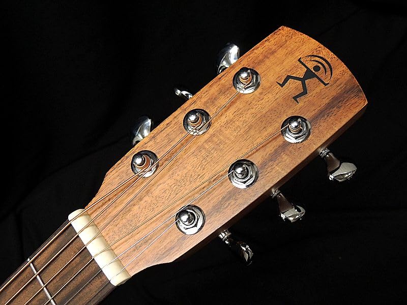 Amazon | aNueNue Bird Guitar aNN-M20E Solid Mahogany Top