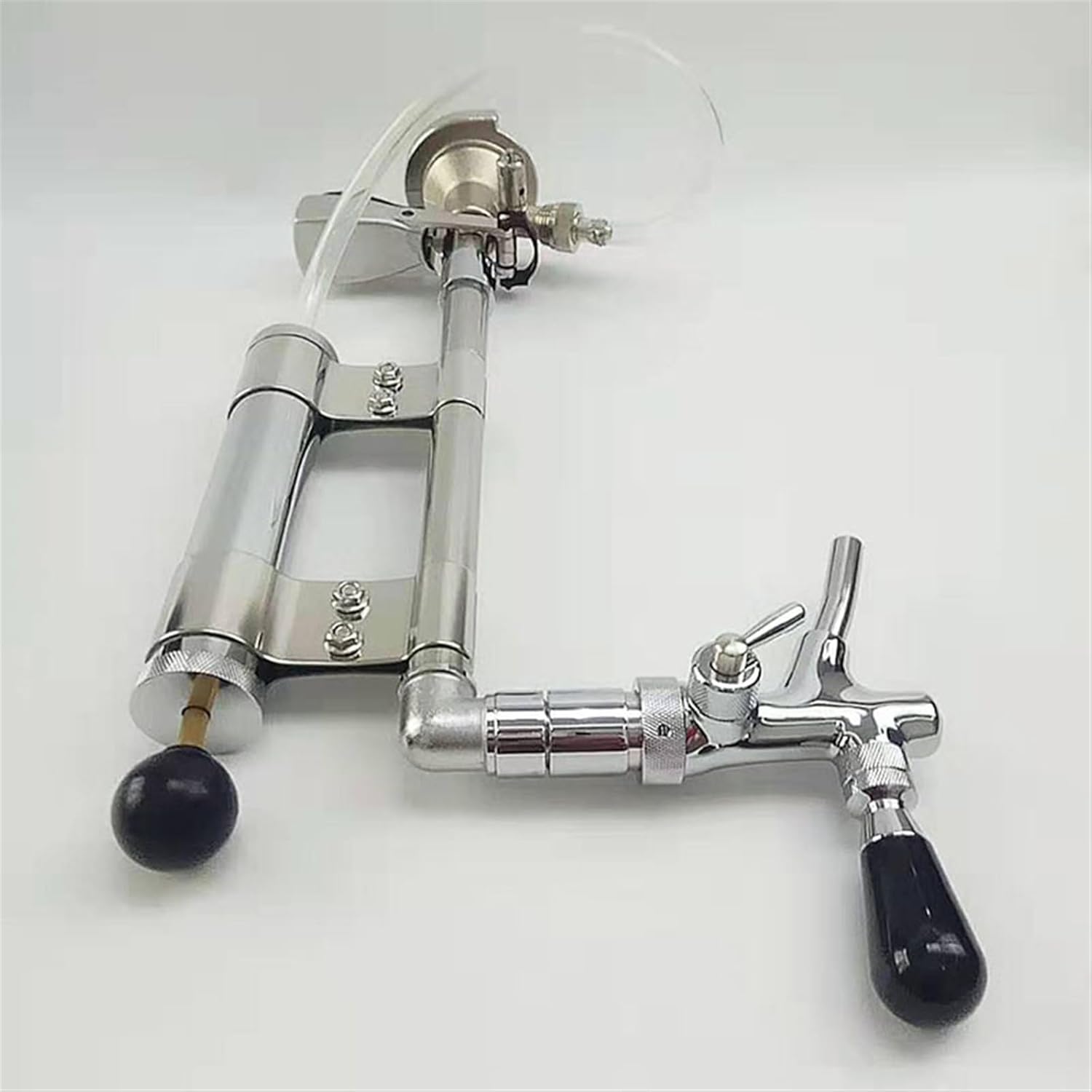 B523h「薩摩 梅樹の図 平丸香合」井口海仙書付箱 薩摩焼 茶道具