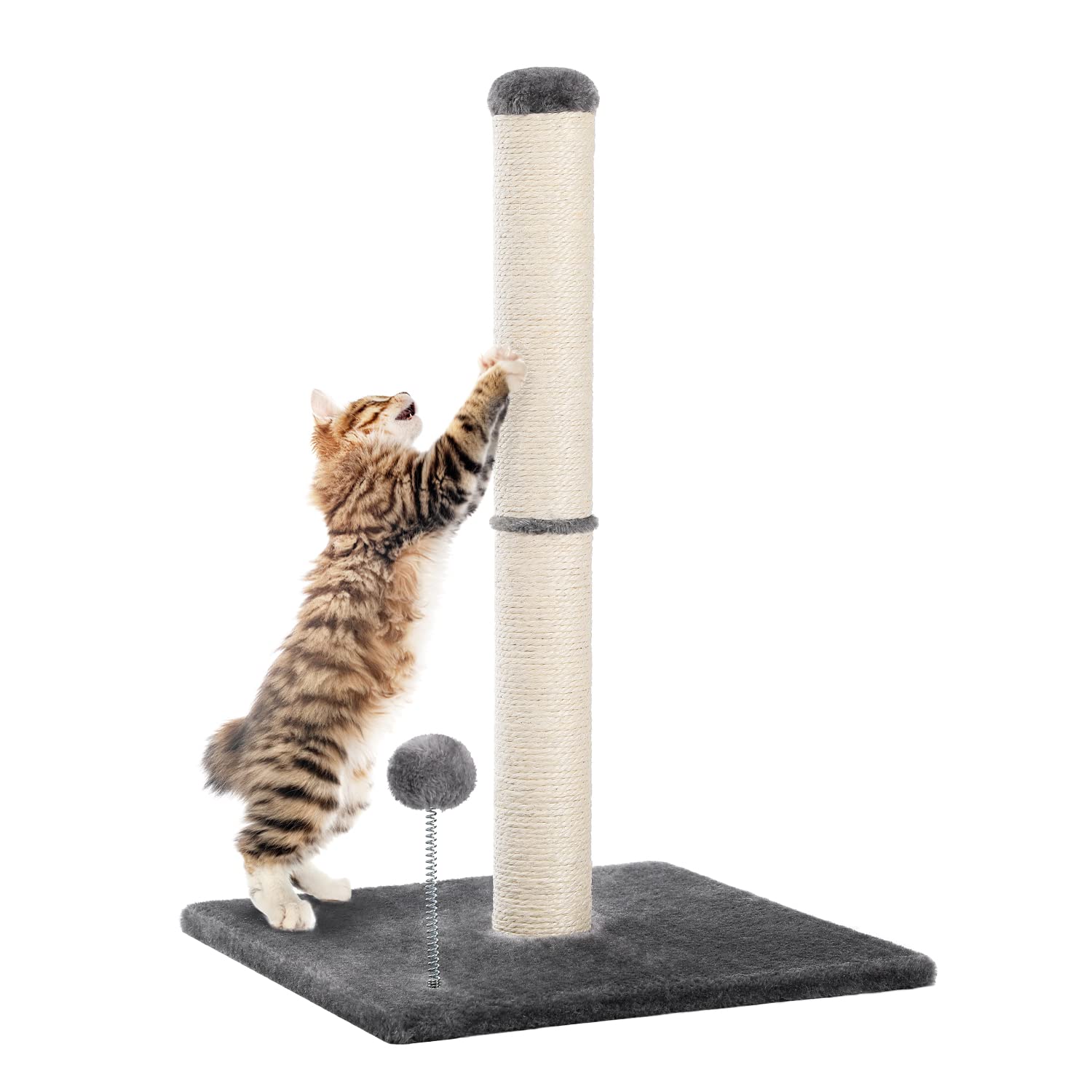 猫アダルト10キロ 【公式通販】