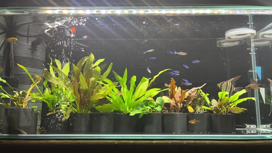 Amazon.co.jp: ゼンスイ マルチカラーLED 1500 : ペット用品