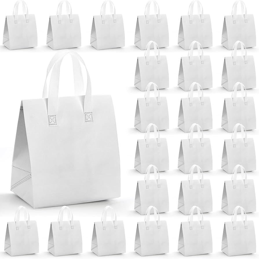 Amazon.com: ZENFUN Set of 25 Insulated Take Away Bags, Small