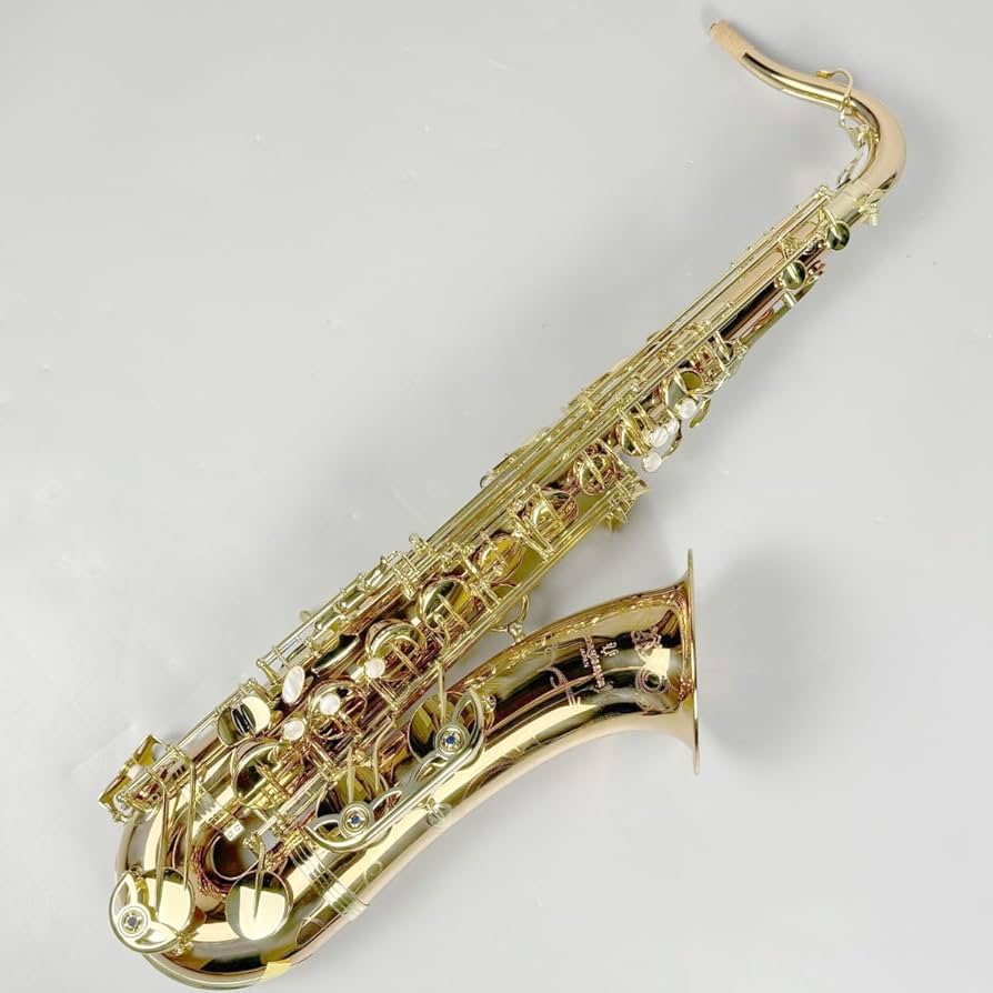 Amazon.co.jp: YANAGISAWA T-WO20 テナーサックス ブロンズブラス製