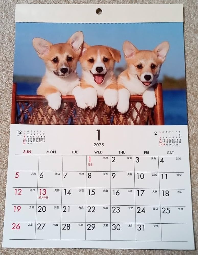 Amazon.co.jp: 犬 A4 1冊 壁掛けカレンダー 2025年 30x21㎝ わんちゃん