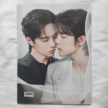 レア 博君一肖 陳情令 王一博 肖战 A4イラストカードフルセット【狐狸