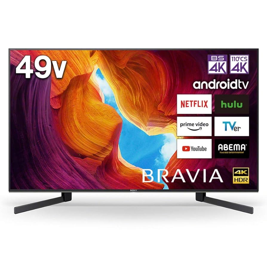 49インチSONY BRAVIA