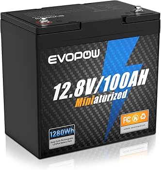 Amazon.co.jp: 12.8V 1280Wh 100Ah LiFePO4リン酸鉄リチウムイオン