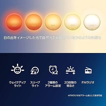 61L2Yqewm0L._AC_UF350,