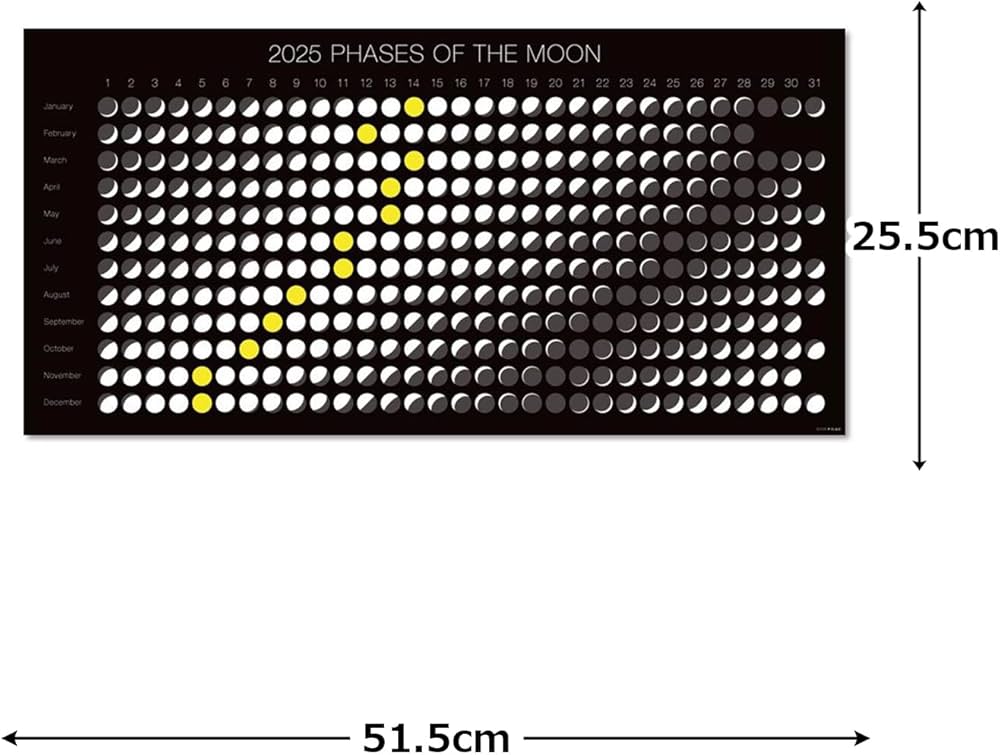 Amazon | ムーングラフィックス 2025年 カレンダー ムーンカレンダー